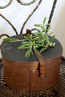 Olive branch on wooden box