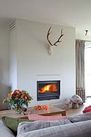 Modern living room with wood burning stove