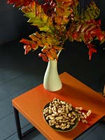 Bowl of peanuts on orange side table