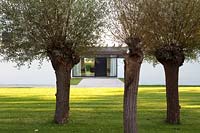 View through Willow trees to contemporary house