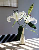 Vase of white Lilies on dining table