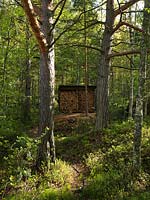 Log storage in woodland garden
