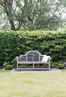 Classic wooden bench by hedge