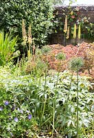 Garden border in summer with Alliums and Geraniums