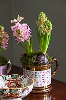 Hyacinths in patterned mugs