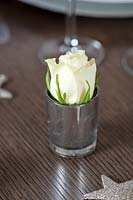White Rose in silver glass