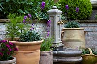 Pot plants and water feature