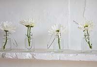 White flowers in glass bottles