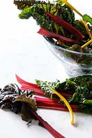 Chard leaves on kitchen counter