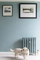 Dog standing by radiator
