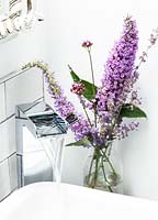 Buddleia and Verbena flowers by bathroom sink