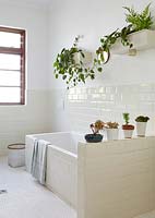 Modern bathroom with houseplants