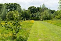 Mown path through meadow garden