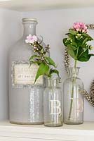 Pink flowers in glass bottles