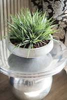 Houseplant on silver side table