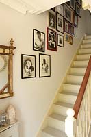 Photo display on stair wall