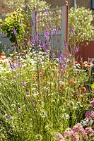 Colourful border in summer