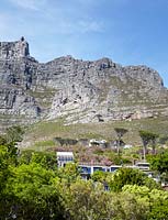Mountain view, Cape Town, South Africa