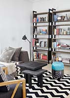 Bookshelves in modern living room