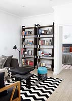 Modern living room with bookshelves