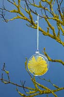 Transparent bauble containing wool stars hanging from a branch covered in Lichen