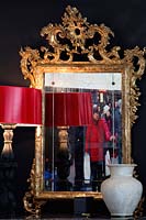 Photo reflected in ornate mirror