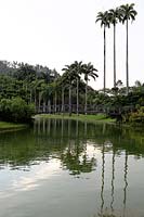 Tropical garden with lake
