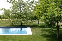 Garden with pool