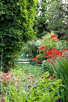 Country garden with colourful planting