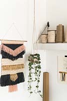 Houseplant in hanging basket