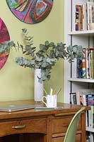Vase of Eucalyptus foliage on wooden desk