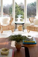 Cane armchairs