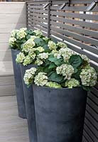 Tall pots with faux Hydrangea plants