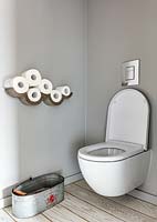 Wall mounted storage in toilet