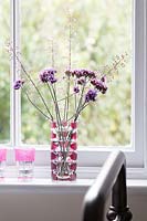 Verbena flowers in glass vase