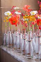 Floral display with Poppies and Primula flowers in retro milk bottles