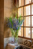 Tall glass vases with Delphiniums and Stipa gigantea grass foliage