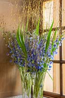 tall glass vases with Delphiniums and Stipa gigantea grass foliage
