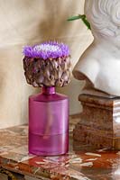 'Amethyst' artichoke flower in small glass vase