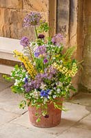 Yellow Lupins, Mock Orange, Alliums and Cornflowers in terracotta pot