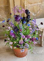 Pot with Lupins, Allium cristophii, Allium spheracephalon, Bearded Iris and Candytuft flowers