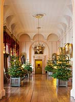 Christmas trees in versailles tubs in the long gallery, Castle Howard