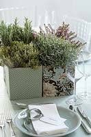 Potted herbs on dining table