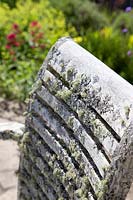 Lichens growing on garden seat