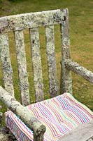 Lichen covered chair