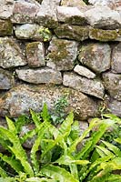 Drystone wall