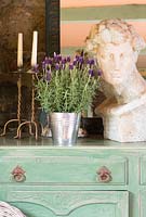 French Lavender in metal pot