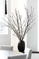 Branches in black vase
