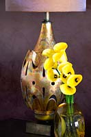 Vase of Calla lilies