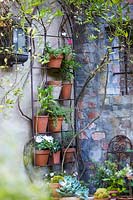 Plant pots on wall mounted rack